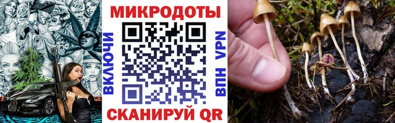 наркота  Дмитриев  Псилоцибиновые грибы Cubensis 